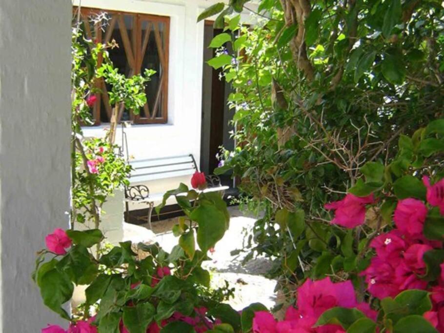 سواكوبموند Alternative Space B & B المظهر الخارجي الصورة