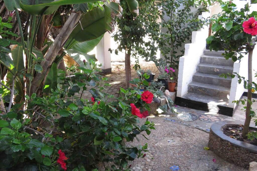 سواكوبموند Alternative Space B & B المظهر الخارجي الصورة
