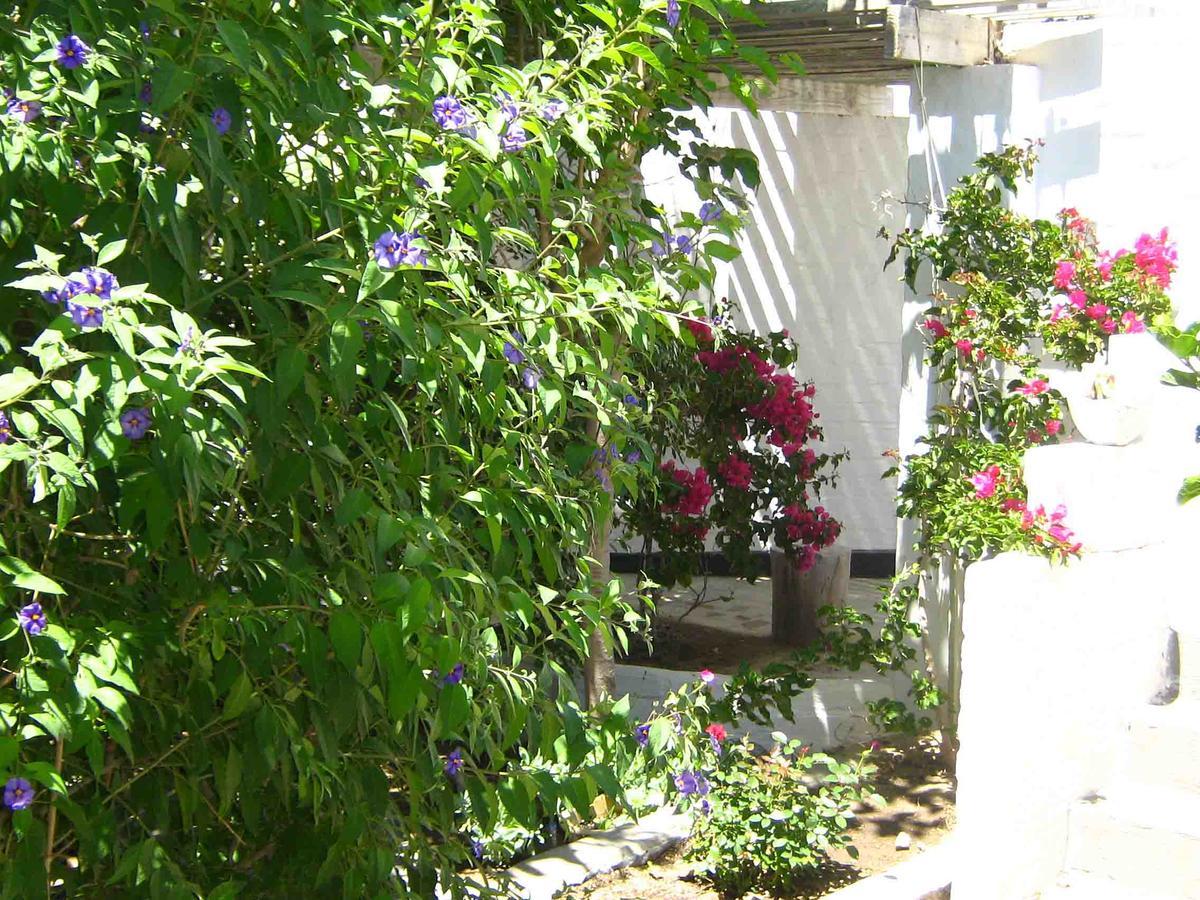 سواكوبموند Alternative Space B & B المظهر الخارجي الصورة